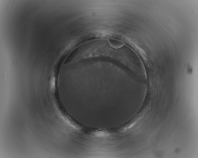 X0000097910067200803211514