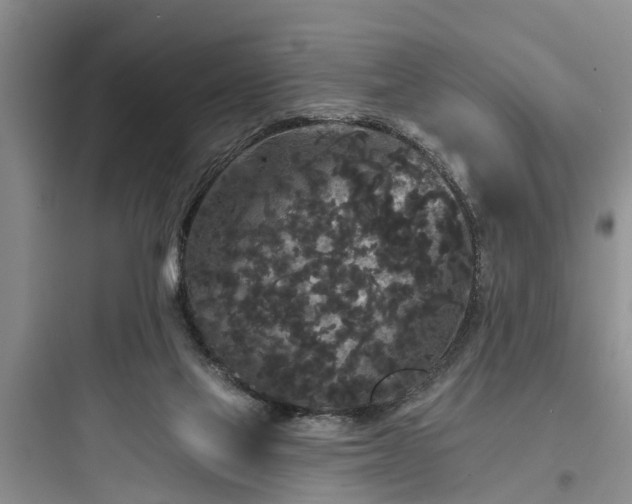 X0000097910069200803211514