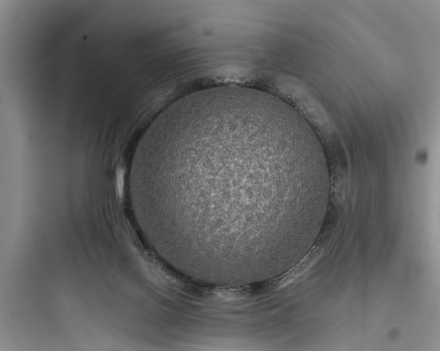 X0000097910070200803211514