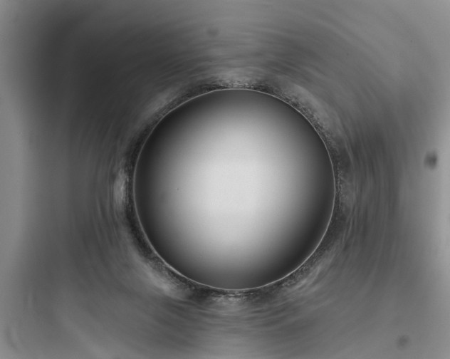 X0000097910071200803211514