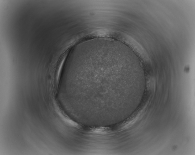 X0000097910072200803211514