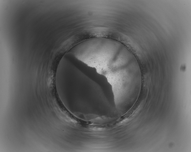 X0000097910073200803211514