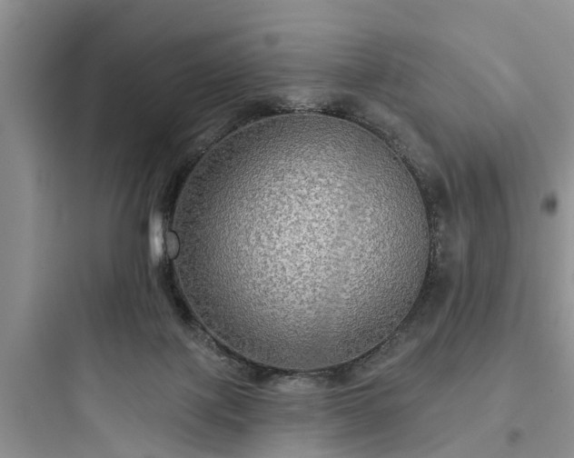 X0000097910075200803211514