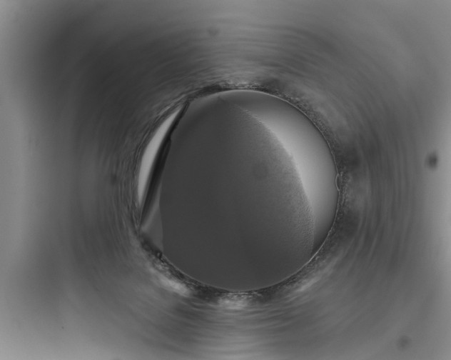 X0000097910076200803211514