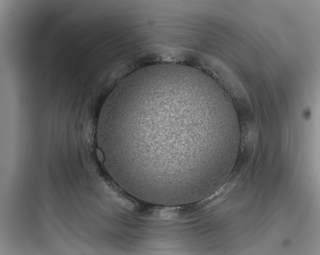 X0000097910078200803211514