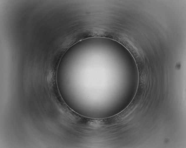 X0000097910079200803211514