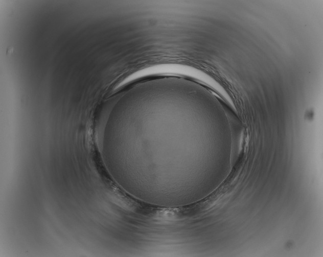 X0000097910080200803211514