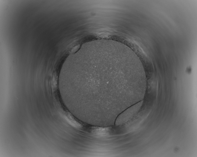 X0000097910081200803211514