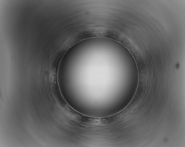 X0000097910083200803211514