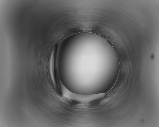 X0000097910084200803211514