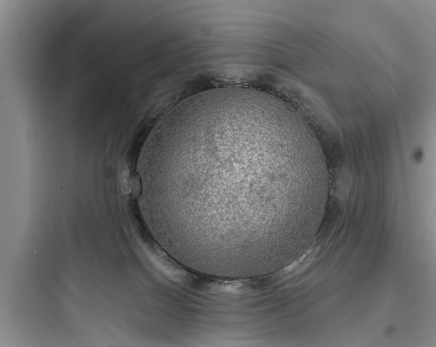 X0000097910086200803211514