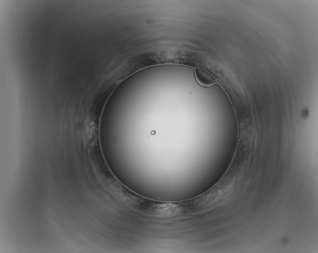 X0000097910087200803211514