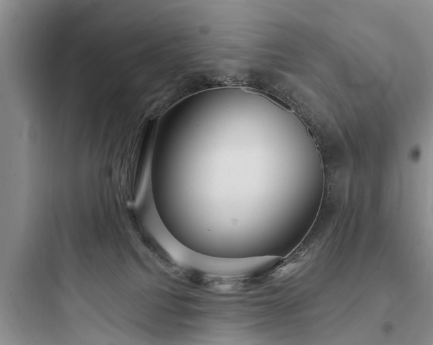 X0000097910088200803211514