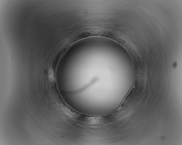 X0000097910089200803211514