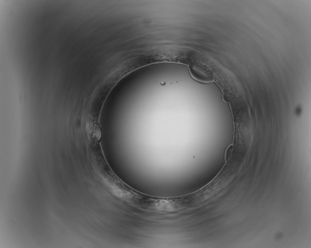 X0000097910091200803211514