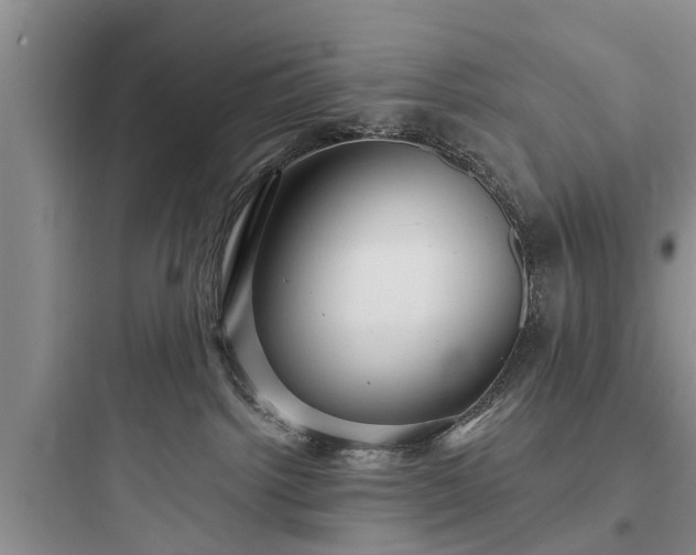 X0000097910092200803211514