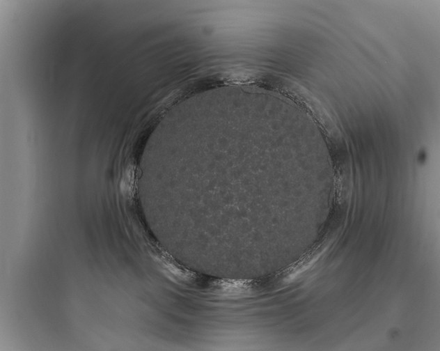 X0000097910093200803211514