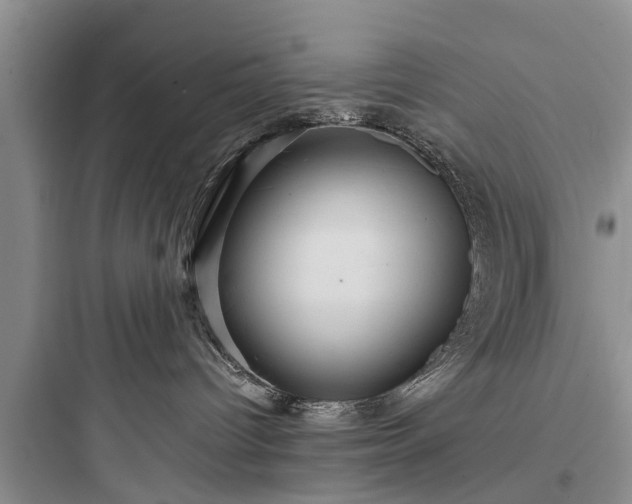 X0000097910096200803211514