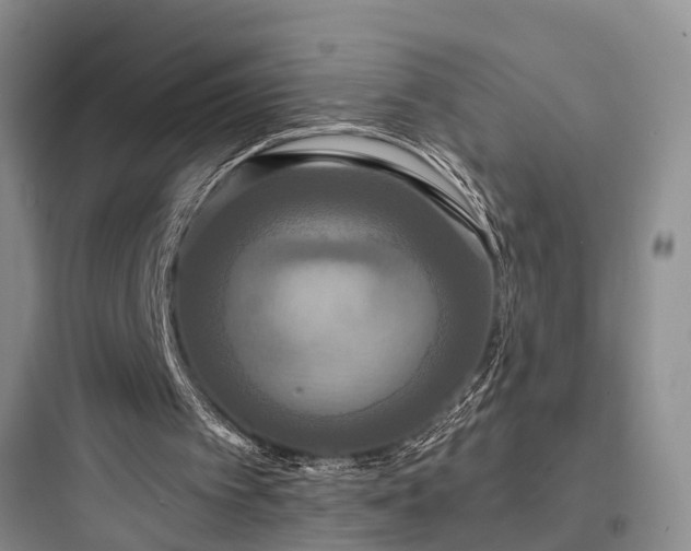 X0000097910097200803211514