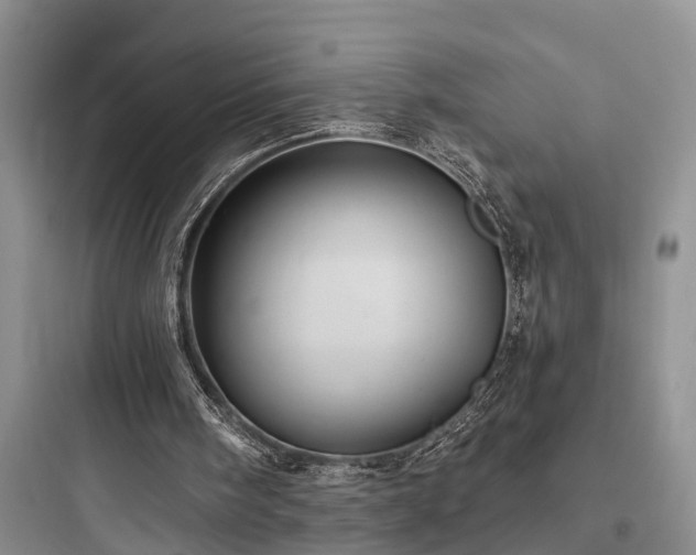 X0000097910098200803211514