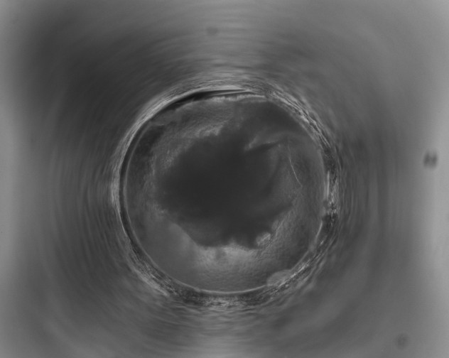 X0000097910099200803211514