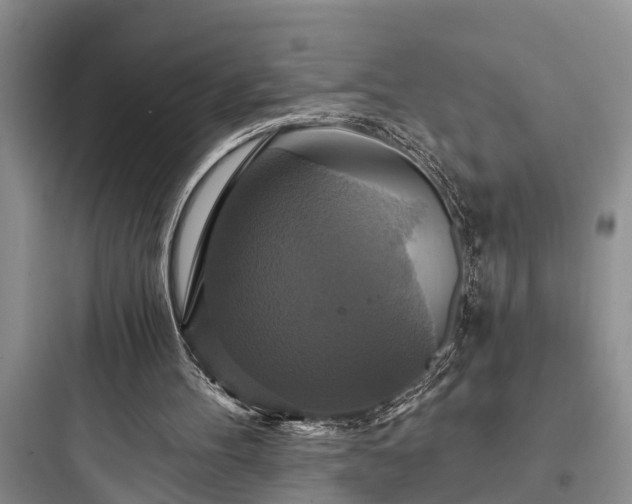 X0000097910100200803211513