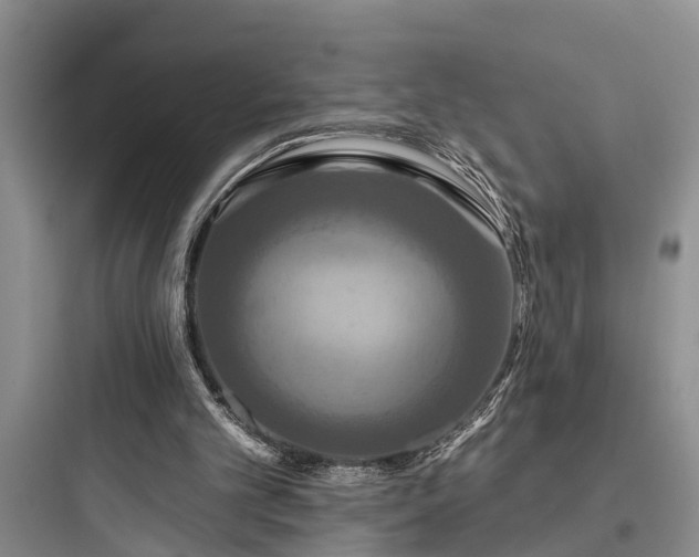 X0000097910101200803211513