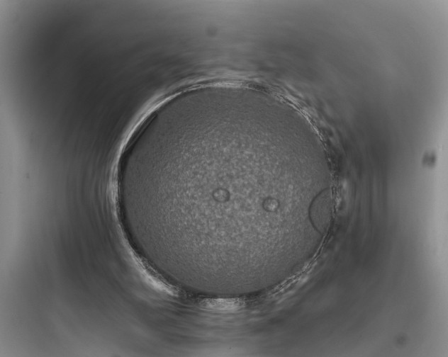 X0000097910102200803211513