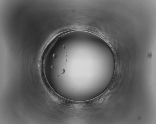 X0000097910103200803211513