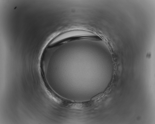 X0000097910104200803211513