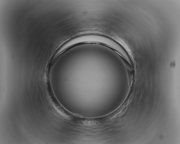 X0000097910105200803211513