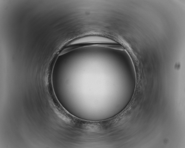 X0000097910106200803211513