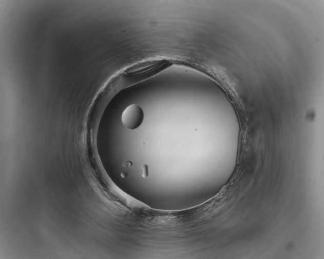 X0000097910108200803211513