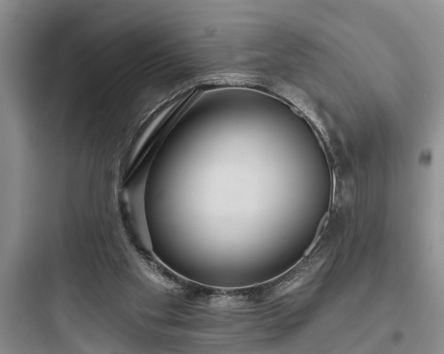 X0000097910109200803211513