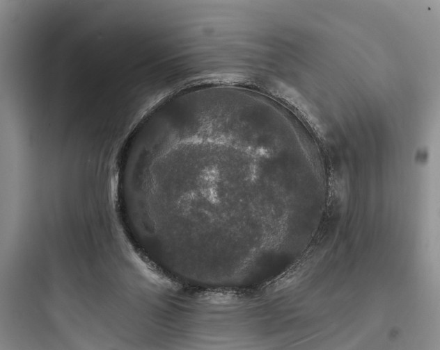 X0000097910110200803211513