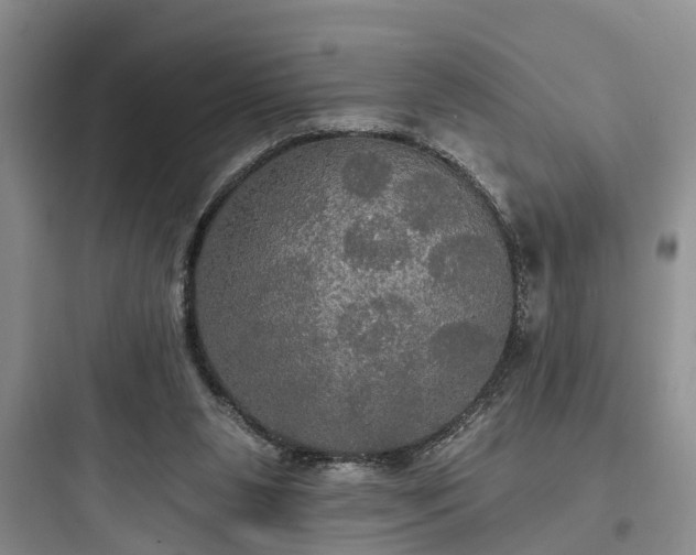 X0000097910111200803211513