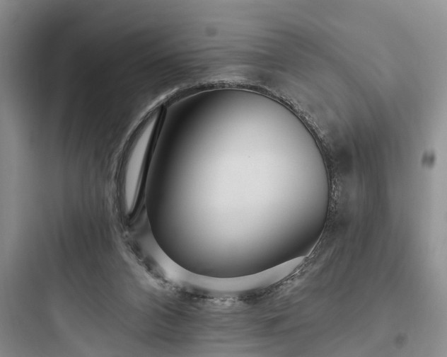 X0000097910112200803211513