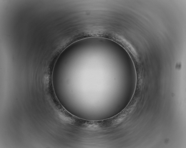 X0000097910113200803211513