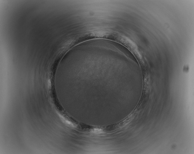 X0000097910114200803211513