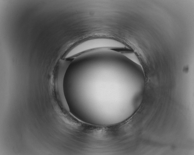 X0000097910116200803211513