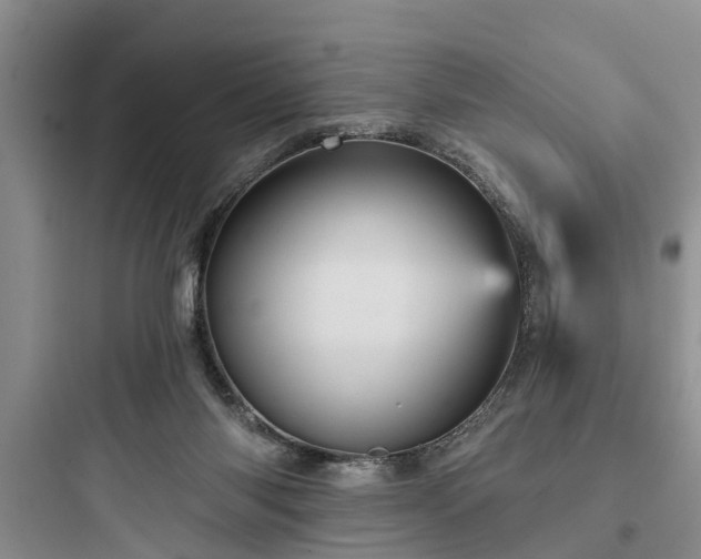 X0000097910118200803211513