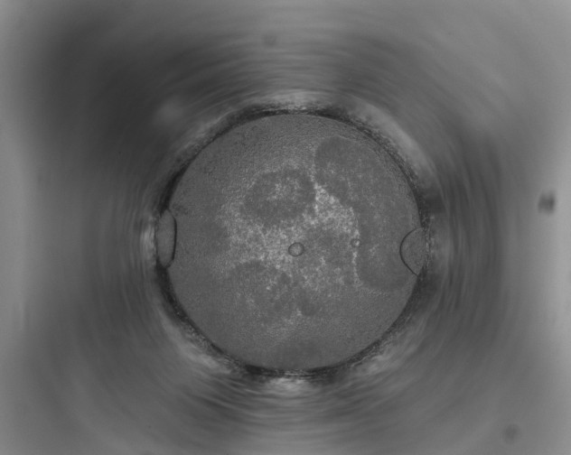 X0000097910119200803211513