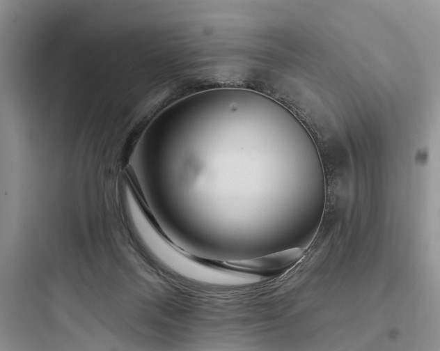 X0000097910120200803211513