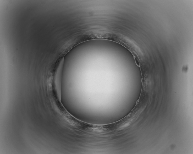 X0000097910121200803211513