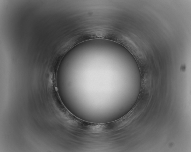 X0000097910122200803211513