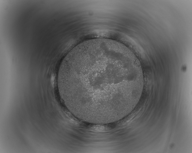 X0000097910123200803211513