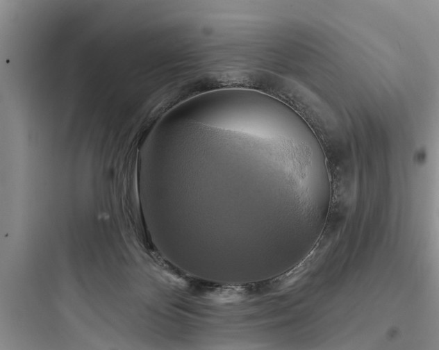 X0000097910124200803211513