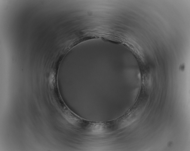 X0000097910127200803211513