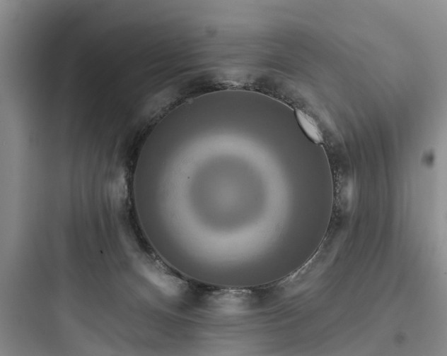 X0000097910128200803211513