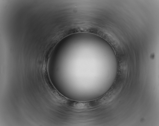 X0000097910129200803211513